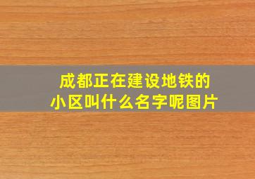 成都正在建设地铁的小区叫什么名字呢图片