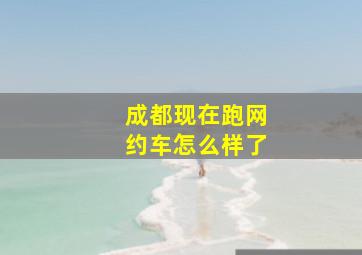 成都现在跑网约车怎么样了