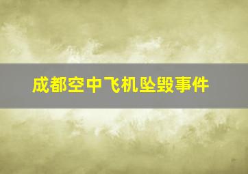 成都空中飞机坠毁事件