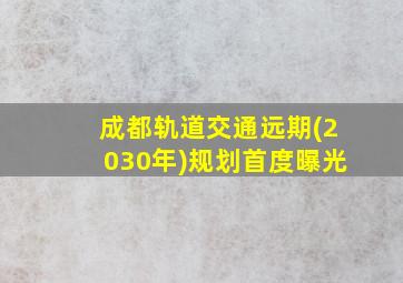 成都轨道交通远期(2030年)规划首度曝光