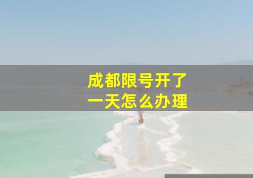 成都限号开了一天怎么办理