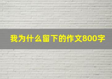 我为什么留下的作文800字