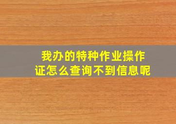 我办的特种作业操作证怎么查询不到信息呢