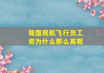 我国民航飞行员工资为什么那么高呢