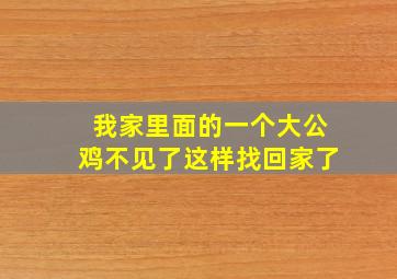 我家里面的一个大公鸡不见了这样找回家了