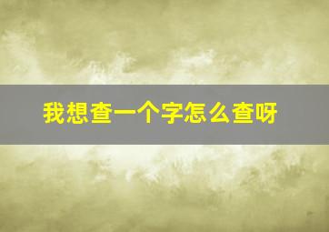 我想查一个字怎么查呀