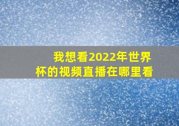 我想看2022年世界杯的视频直播在哪里看