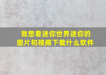 我想看迷你世界迷你的图片和视频下载什么软件