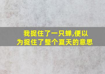 我捉住了一只蝉,便以为捉住了整个夏天的意思