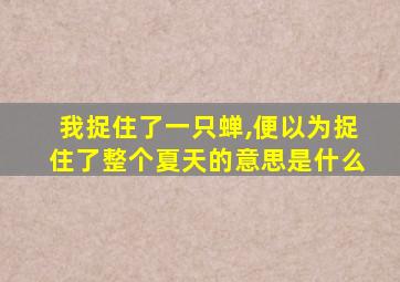 我捉住了一只蝉,便以为捉住了整个夏天的意思是什么