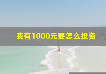 我有1000元要怎么投资