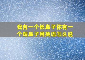 我有一个长鼻子你有一个短鼻子用英语怎么说