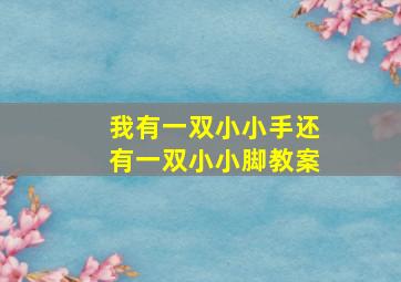 我有一双小小手还有一双小小脚教案