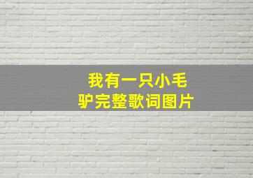 我有一只小毛驴完整歌词图片