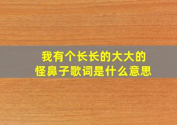 我有个长长的大大的怪鼻子歌词是什么意思