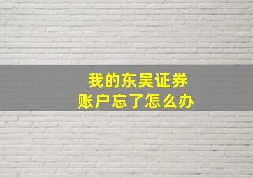 我的东吴证券账户忘了怎么办