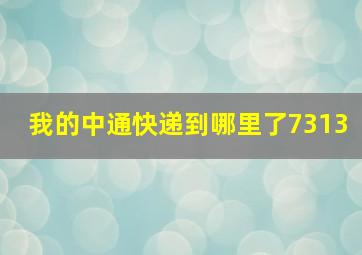 我的中通快递到哪里了7313