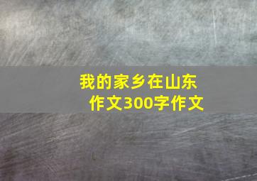 我的家乡在山东作文300字作文