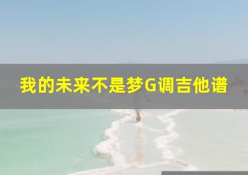 我的未来不是梦G调吉他谱