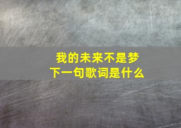 我的未来不是梦下一句歌词是什么