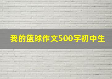 我的篮球作文500字初中生