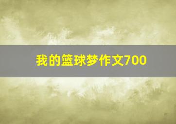 我的篮球梦作文700