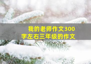 我的老师作文300字左右三年级的作文