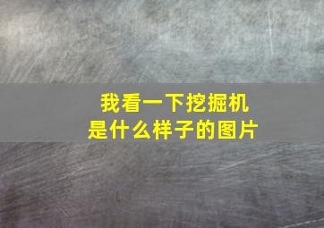 我看一下挖掘机是什么样子的图片