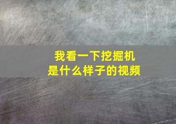 我看一下挖掘机是什么样子的视频