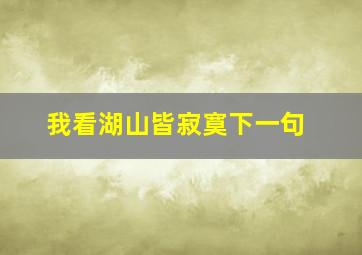 我看湖山皆寂寞下一句