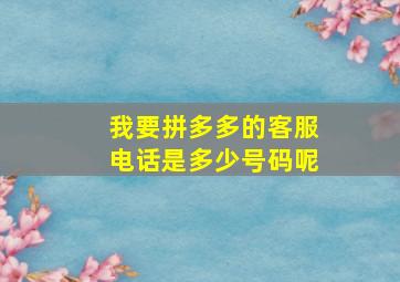 我要拼多多的客服电话是多少号码呢