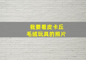 我要看皮卡丘毛绒玩具的照片