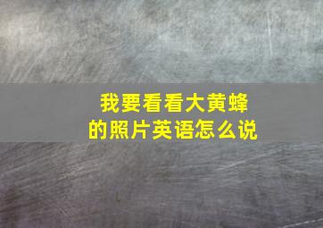 我要看看大黄蜂的照片英语怎么说