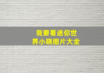 我要看迷你世界小晓图片大全