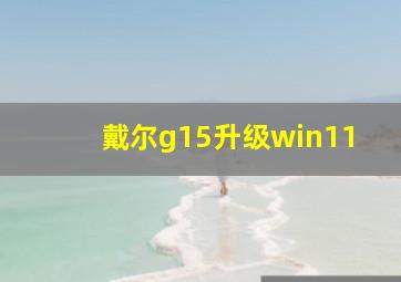 戴尔g15升级win11