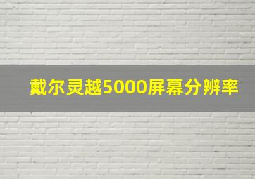 戴尔灵越5000屏幕分辨率