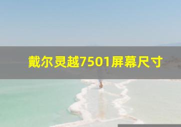 戴尔灵越7501屏幕尺寸