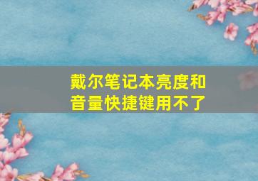 戴尔笔记本亮度和音量快捷键用不了