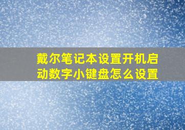 戴尔笔记本设置开机启动数字小键盘怎么设置