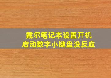 戴尔笔记本设置开机启动数字小键盘没反应