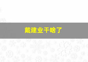 戴建业干啥了