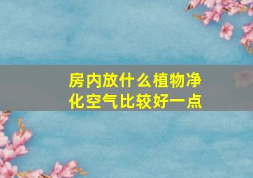 房内放什么植物净化空气比较好一点