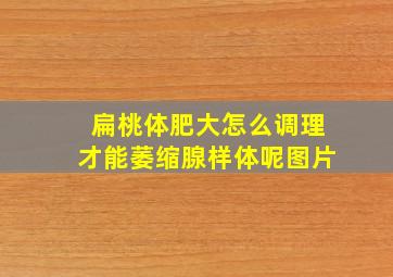 扁桃体肥大怎么调理才能萎缩腺样体呢图片