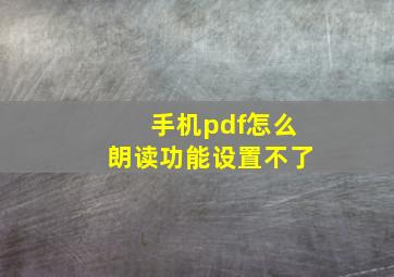 手机pdf怎么朗读功能设置不了