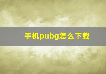 手机pubg怎么下载