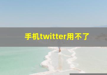 手机twitter用不了