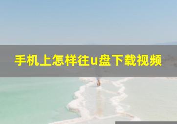 手机上怎样往u盘下载视频