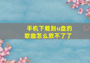 手机下载到u盘的歌曲怎么放不了了