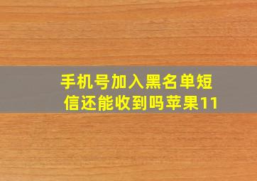 手机号加入黑名单短信还能收到吗苹果11