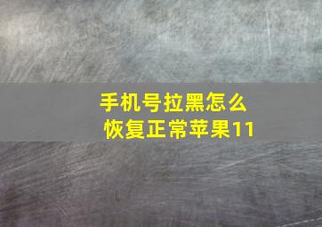 手机号拉黑怎么恢复正常苹果11